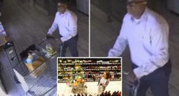 Irvine police search for suspect in $3K Gelsonâs wine theft